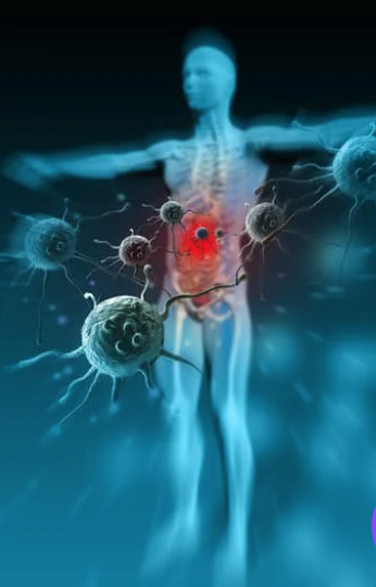 Immune System